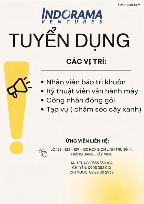 Nhân viên bảo trì khuôn, Kỹ thuật viên vận hành máy, Công nhân đóng gói, Tạp vụ (chăm sóc cây xanh)